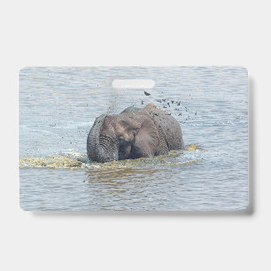 Crachá Bathing elephant