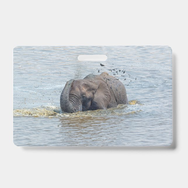 Crachá Bathing elephant (Frente)