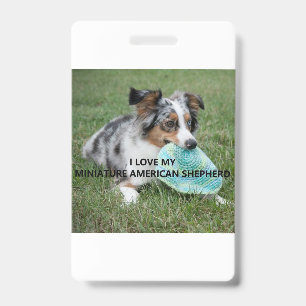 Crachá Blue_Merle_Miniature_American_Shepherd amor c/ fot