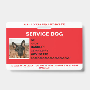 Crachá Cachorro de Serviço de Identificação Fotográfica P