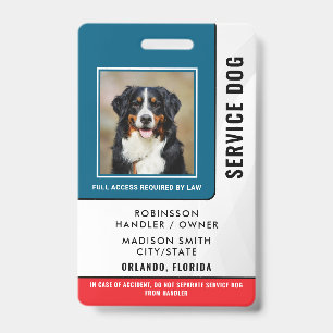 Crachá Cachorro de Serviço Personalizado