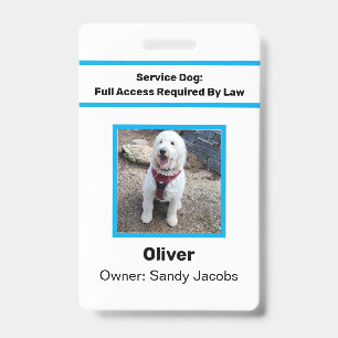 Crachá Cachorro de Serviço Personalizado ID Oficial Foto