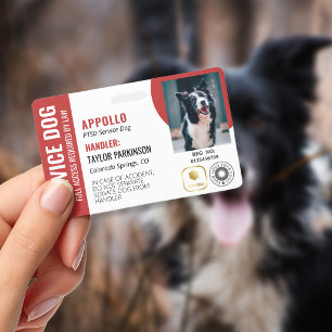 Crachá Cachorro de Serviço Vermelho Branco 2 Logotipos e