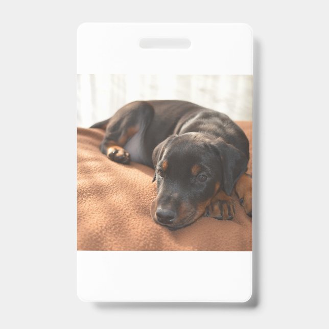Crachá cachorro doberman-pinscher (Frente)