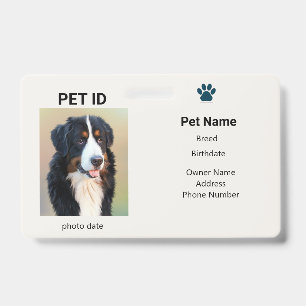 Crachá Cachorro Perdido Informações da Placa de Identif