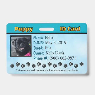 Crachá Cartão de identificação de cachorrinho - Azul