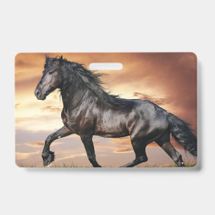 Crachá Cavalo Preto Lindo