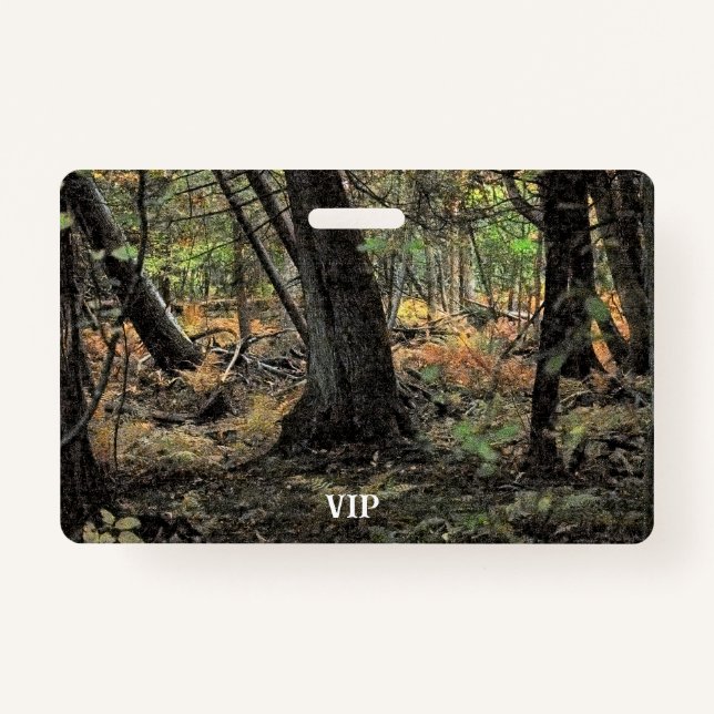 Crachá Cena da floresta do outono (Frente)