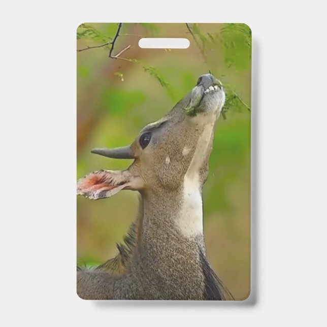 Crachá Custom deer (Frente)