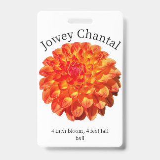 Crachá de ID Dahlia Jowey Chantal