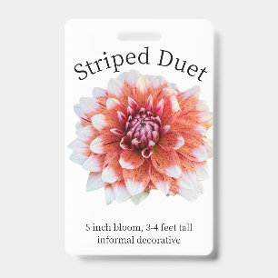 Crachá de ID de Dahlia de Duet Stripe