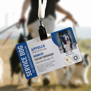 Crachá de Identificação de Cão de Serviço Azul Bra