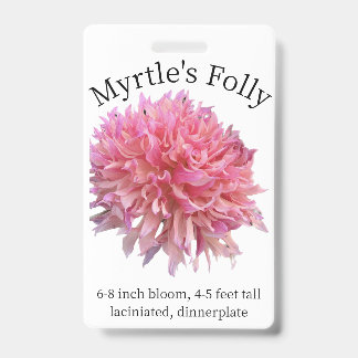 Crachá de Identificação Myrtle's Folly Dahlia