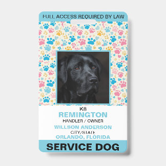 Crachá de identificação personalizado azul para Cã