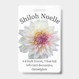 Crachá de Identificação Shiloh Noelle Dahlia