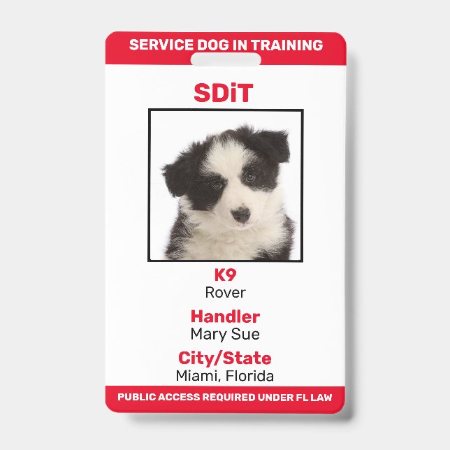 Crachá de informações do Florida SDiT (Service Dog (Frente)