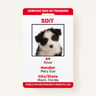 Crachá de informações do Florida SDiT (Service Dog