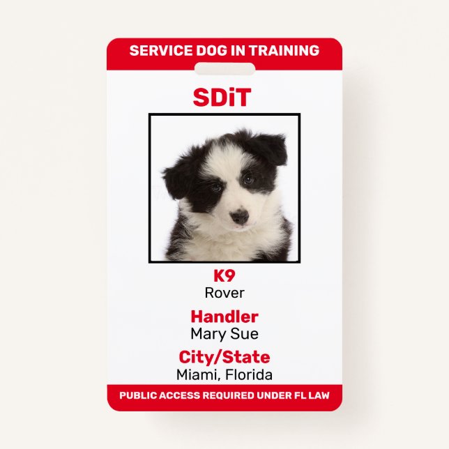 Crachá de informações do Florida SDiT (Service Dog (Frente)