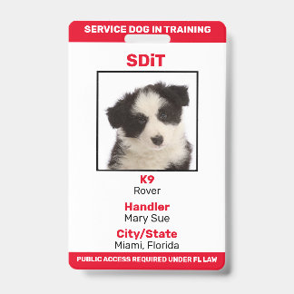 Crachá de informações SDiT (Cão de Serviço em Trei