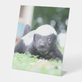 Crachá de mel de bebê em fotografia de grama verde