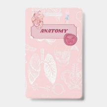 Desenho Estético de Anatomia Rosa para Estudante d