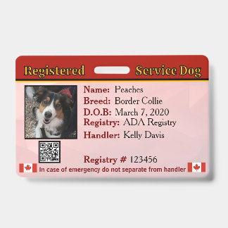 Crachá do Cão de Serviço Canadá