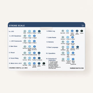 CRACHÁ ESCALA DE ROLOS