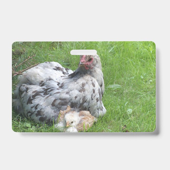 Crachá fofo, fazenda, animais, crianças, animais de criaç (Frente)