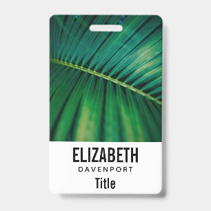 Crachá Foto de Natureza da Floresta Tropical de Folha Ver