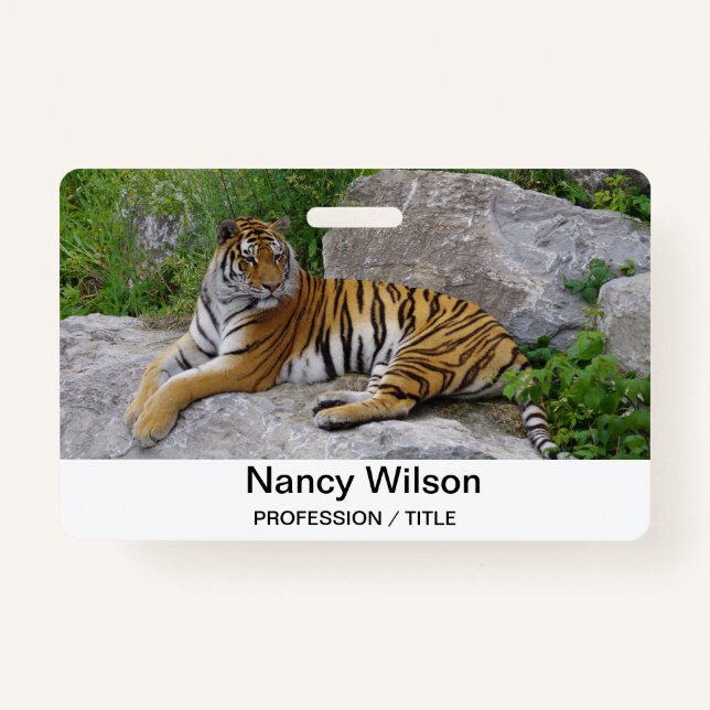 Crachá Foto de retrato de um tigre siberiano (Frente)