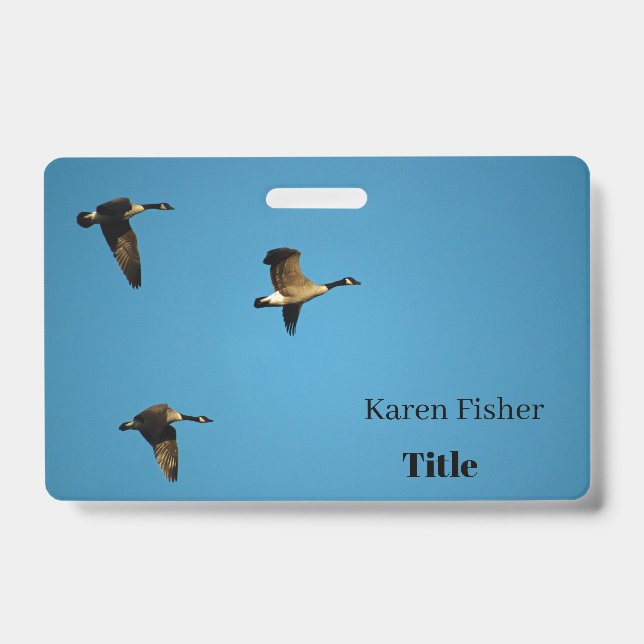 Crachá Gansos canadenses em voo (Frente)