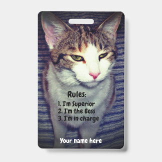 Crachá Gato chefe narcisista engraçado