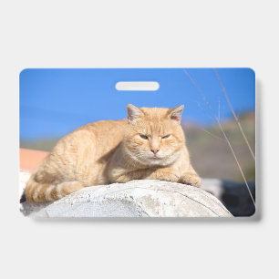 Crachá Gato preguiçoso