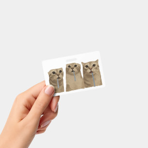 Crachá Gatos Bobos Triplos Babões Meme