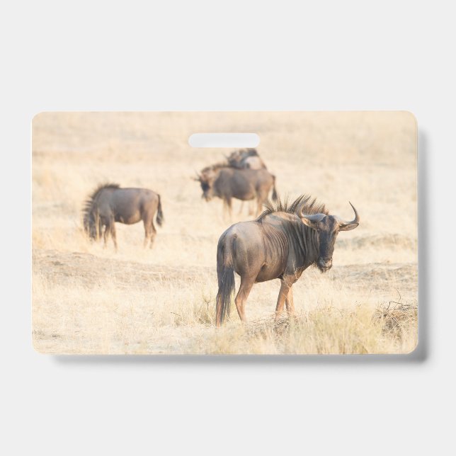 Crachá Grupo de gnus (Frente)