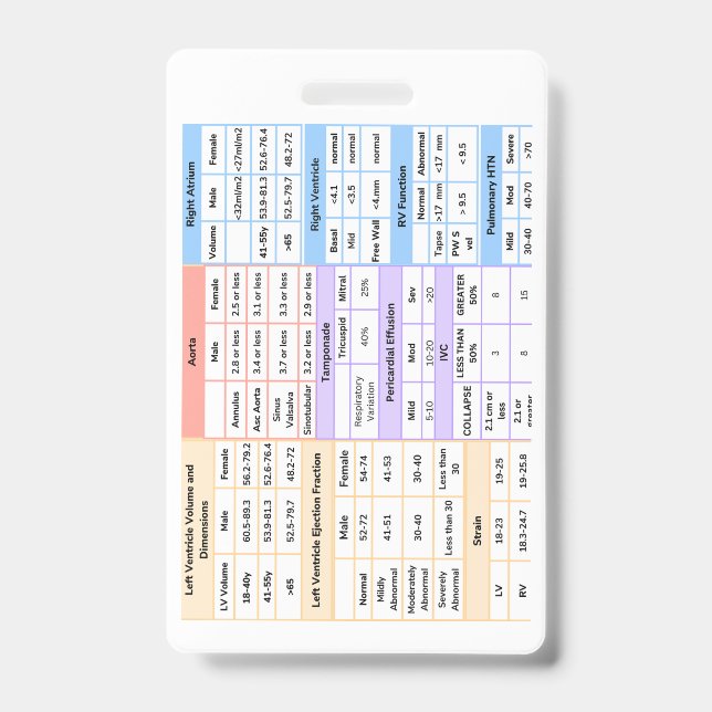 Crachá Guia de Referência Rápida do Echo Badge (Frente)