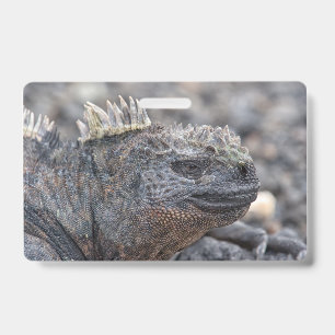 Crachá Iguana marinha