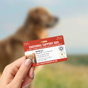 Crachá Logotipo e ID de foto do Red Service Dog 2