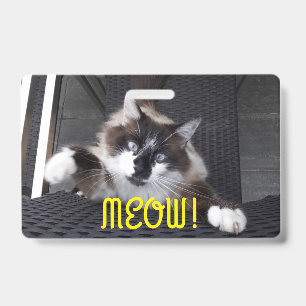 Crachá Miau!