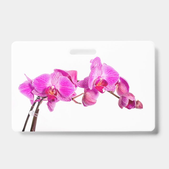 Crachá Orquídea (Frente)