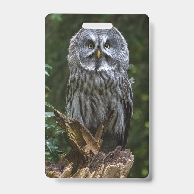 Crachá Photo Enlargement (Frente)