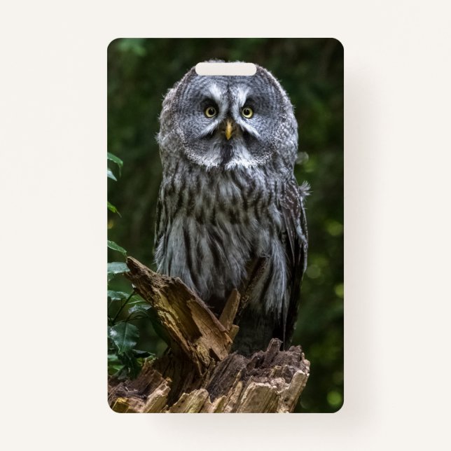 Crachá Photo Enlargement (Frente)