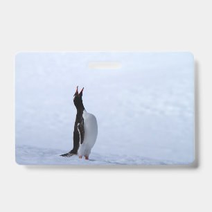 Crachá Pinguim-gentoo