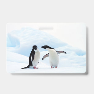 Crachá Pinguins Adelie