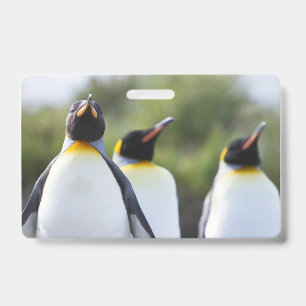 Crachá Pinguins-reis