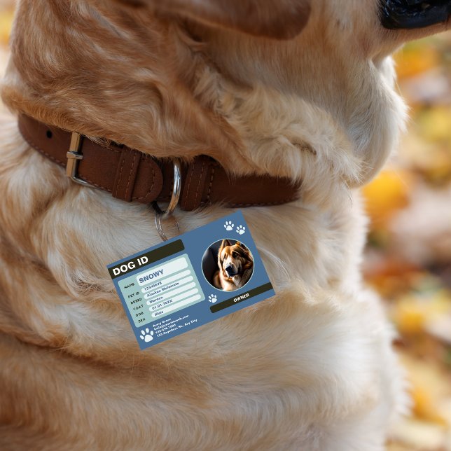 Crachá Placa de Identificação de Cachorro Moderna Azul Ve (Blue Green Modern Dog ID Tag: Simple and Stylish Badge)