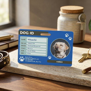 Crachá Placa de Identificação de Cachorro Personalizável