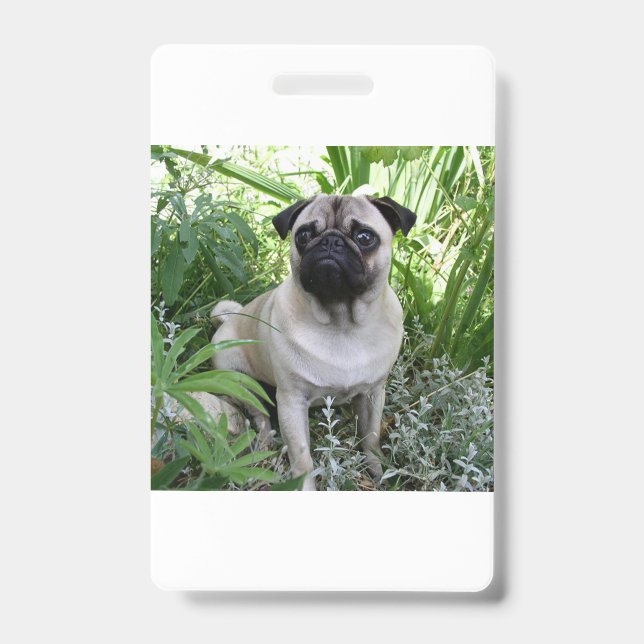 Crachá pug sentado (Frente)
