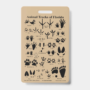 Crachá Rastreios Animais da Flórida