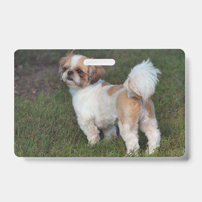 Crachá Shih Tzu mais fofinho (Frente)